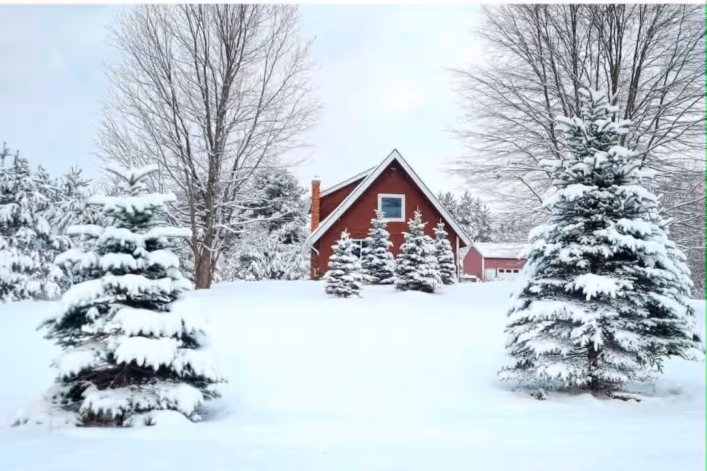 Charlet Winter